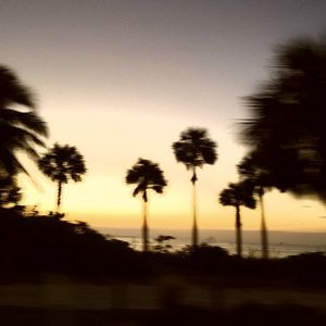 Meet your Posher, Brent